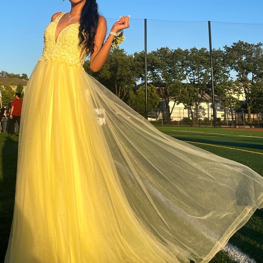 Camille la vie Prom dress, tulle skirt with beaded bodice